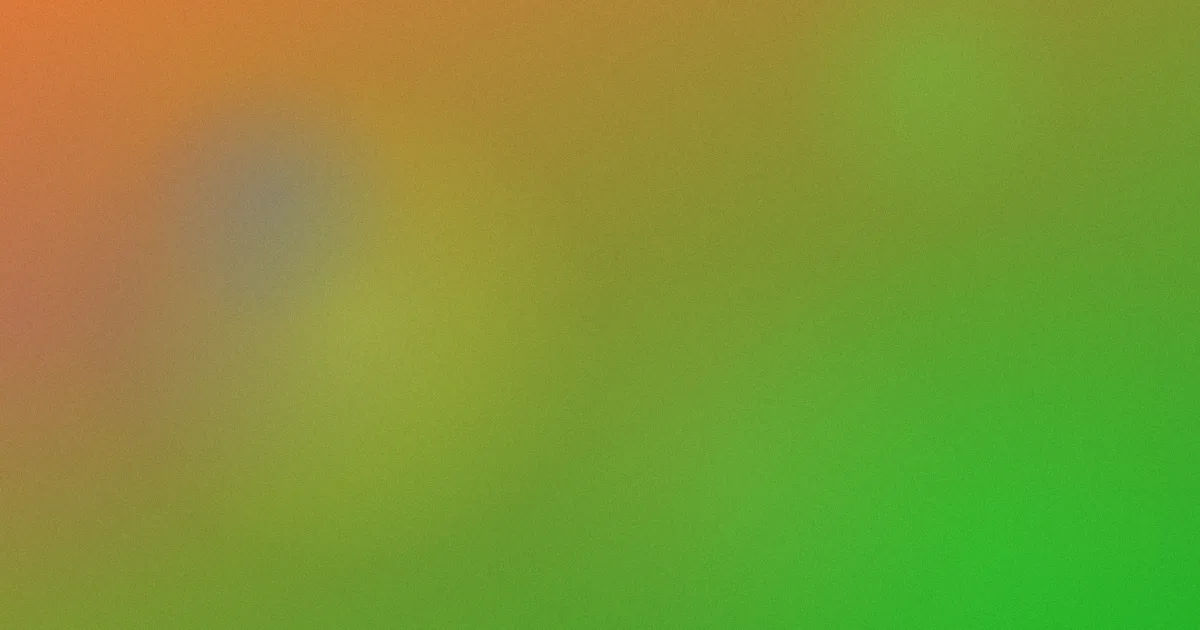 梅花档案推荐：新手观看指南